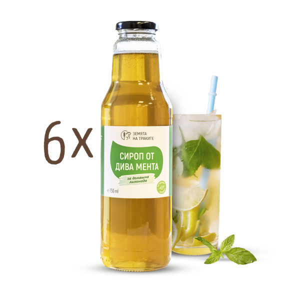 Сироп от дива мента за домашна лимонада (концентрат) - пакет от 6 бр.